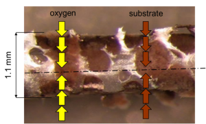 Cross section Transchip 3.0 MBBR Media